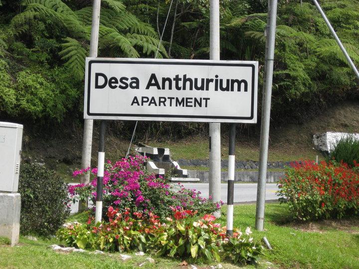 Sa Apartments @ Desa Anthurium Cameron Highlands Eksteriør bilde
